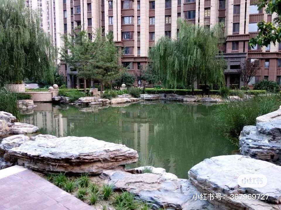 外部环境