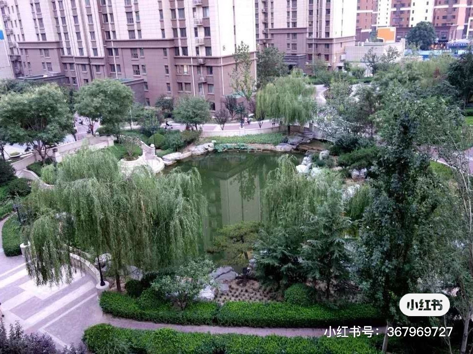 外部环境
